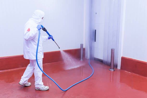 Best Driveway Pressure Washing  in New Haven, IN